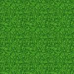 Green grass
