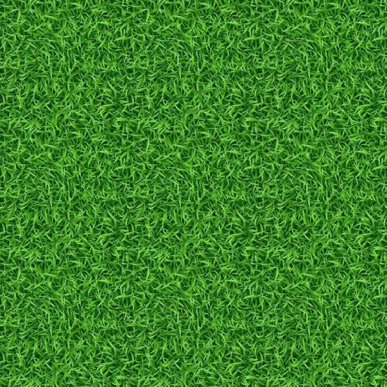 Green grass