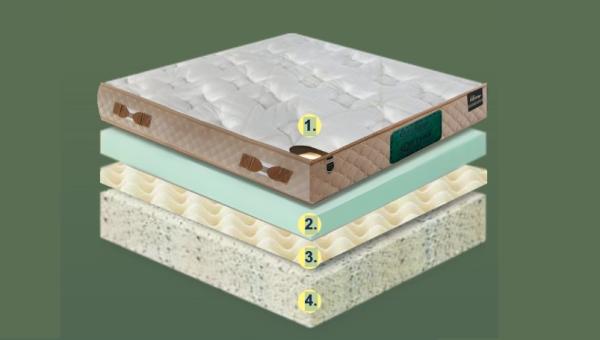 ORTHO CARE LX